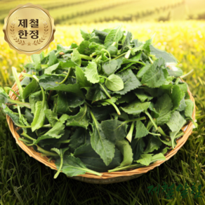 제철알림 국내산 생 취나물 400g 1kg, 1개