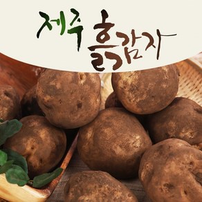 25년 타박타박 제주 구좌 햇 감자, 1박스, 10kg(왕특)