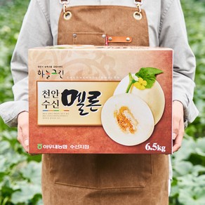 천안 수신메론 멜론 고당도 선물용 수신멜론, 5kg(2~4수), 1개