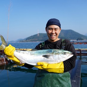 자연산 제철 손질 대방어 모둠회 500g