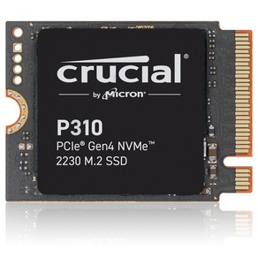 마이크론 Cucial P310 M.2 2230 NVMe 아스크텍, 1TB