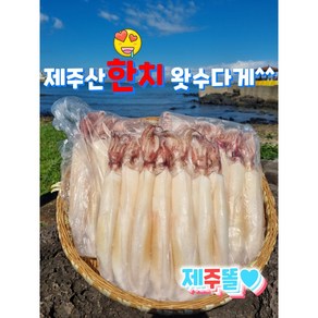 제주산 횟감용 급냉 한치 500g+500g