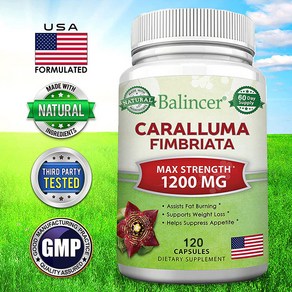 Caalluma Fimbiata 1200mg - 천연 추출물 체중 감량 보조제 식물 뿌리 식욕 억제제 및 순수 에너지 부스터 최대 강도 슬림 지방 연소제, 1개