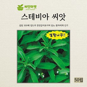 아람종묘 스테비아 씨앗 50립, 1개