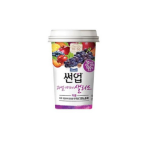 썬업 과일야채샐러드 190ml 퍼플X10컵