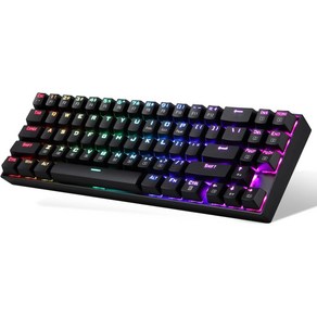 Redagon K599 무선 기계식 게이밍 키보드 블랙 청축 60프로 미니 70키 블루 스위치, 70 key/ Bown Switch_Black, Black