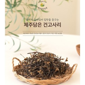 제주담은농장 한라산 건고사리, 600g, 1개