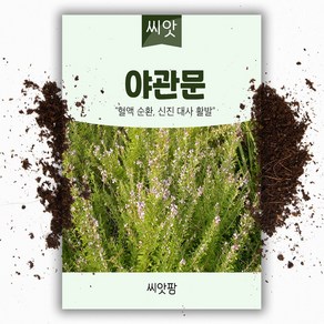 야관문씨앗 20g, 1개