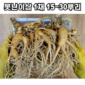 풍기인삼 못난이 막삼 1채 15~30뿌리