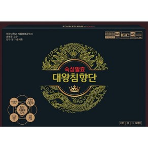 숙성발효 대왕침향단 240g (4g X 60환)