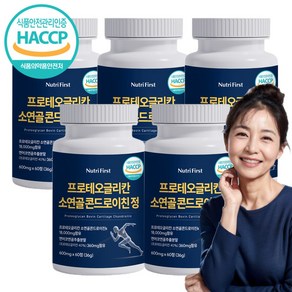 뉴트리퍼스트 프로테오글리칸 연어코연골 소연골 콘드로이친 식약처 HACCP 인증, 5개, 60정