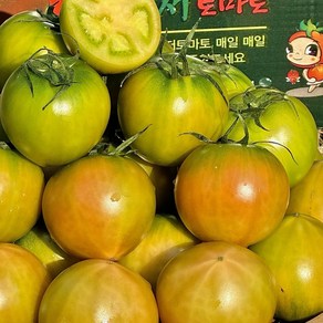 [100%정품인증] 대저 짭짤이토마토 은상 수상 짭잘이 토마토 부산 대저토마토 제철 도마토 짭짤한 단짠, 대저짭짤이토마토 S-2S 1.5kg, 1개