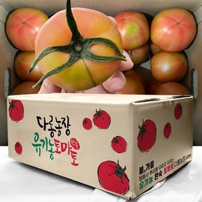 [못난이] 주스용 유기농 완숙 토마토 5kg, 1박스