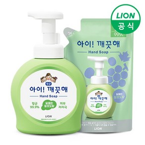 [라이온코리아] 아이깨끗해 용기 490ml 1개+리필 450ml 1개, 제품선택:2.순 490ml 1개+450ml 1개, 1개