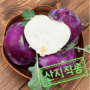 [산지직송] 슈퍼푸드 수분가득 특품 콜라비, 1개, 2kg