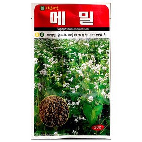 메밀씨앗 30g 메밀 씨앗 종자, 1개