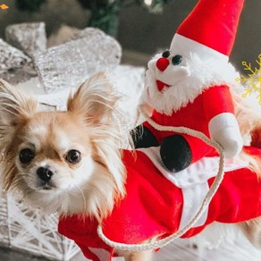 강아지 산타옷 고양이 산타 루돌프옷 반려견 반려묘 크리스마스 코스튬