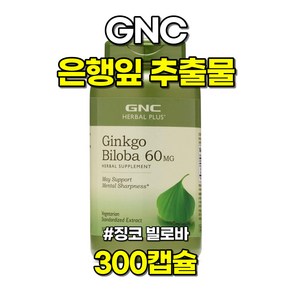 GNC 은행잎 추출물 징코 빌로바 300캡슐, 상품+알약케이스, 1개, 300정