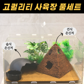 필핏 크레스티드 레오파드 게코 사육장 도마뱀 파충류 은신처 세트, 1세트, 피라미드