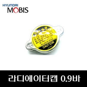 라디에이터캡 0.9바 2533017000