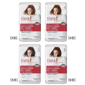 시세이도 티아라 크림 헤어 컬러 40g x 2개, 5호