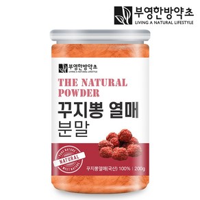 부영한방약초 국산 꾸지뽕열매 가루, 200g, 1개