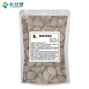 국산 동백나무씨앗 300g 동백 나무 열매 씨앗 꽃, 300g(1개), 1개