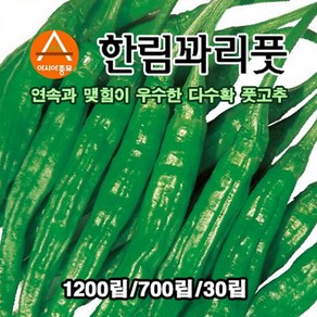 [모종심는아빠] 아시아종묘 한림꽈리풋고추씨앗 고추종자 1200립, 1개