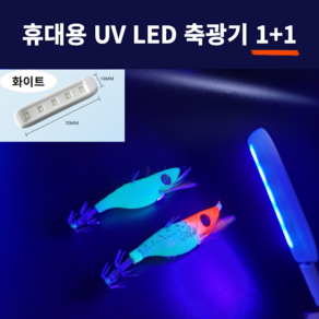 억피싱 UV 축광기 휴대용 에기 쭈꾸미 LED 축광기 1+1 C타입 전원