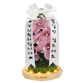 더라임코리아 서양란 비누꽃 유리돔 무드등 승진 취임 영전 개업 축하 화분 선물