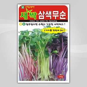 슬로시 새싹 씨앗 어린이집 유치원 식물 키우기 새싹씨, 삼색무순30g, 1개