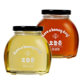 [오늘은 꿀] 선물세트 아카시아+야생화 100% 국산 숙성꿀, 1세트, 400g