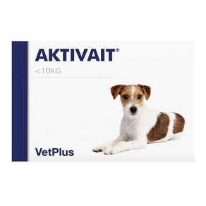 VetPlus Aktivait 노령 소형견의 인지기능을 위한 보충제 캡슐 x 60정