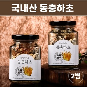 국내산 동충하초 건조 말린 건 밀리타리스 동충화초 코디세핀 효능, 40g, 2개