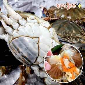 [물가안정 프로젝트] 연평도 제철 알배기 암꽃게 급냉 냉동 꽃게 특품 선주직발송 1kg+1kg, 1박스, 1kg+1kg (6~10미)