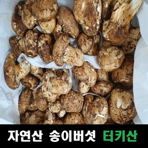 송이버섯 자연산 냉동 터키산, 조각, 1개