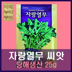 미래종묘 자랑 열무 씨앗 (25g), 1개