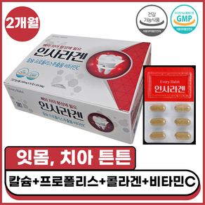 [하루한알] 약국 전용 인사 라겐 잇몸 염증 치아 건강 영양제 GMP인증, 2개, 30정