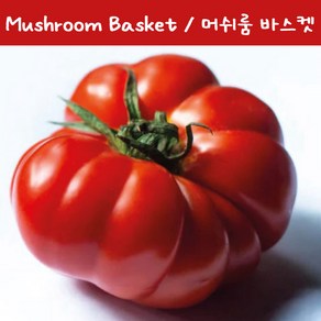 머쉬룸 바스켓 Mushoom Basket 달콤한 희귀토마토 교육용 체험용세트