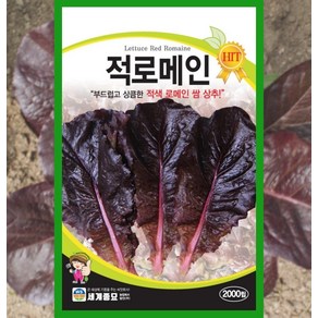 로메인 상추 씨앗 적로메인 2000립 채소, 1개