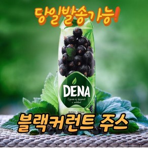 데나 블랙커런트&사과 주스(과즙100%함유) DENA BLACKCURRANT&APPLE JUICE