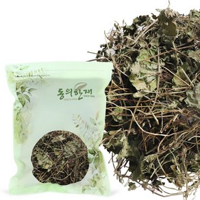 동의한재 국산 금전초 긴병꽃풀, 300g, 1개