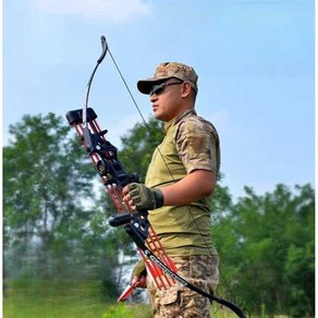 컴파운드 보우 양궁 리커브 활 세트 전통 스포츠, 1개, (초보) 전혼 직궁