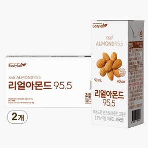 리얼아몬드 95.5 190ml 24팩 x 2박스(총 48팩), 48개