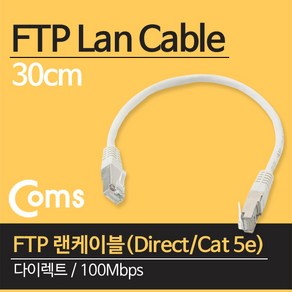 CAT5e 다이렉트 FTP공유기 랜케이블 랜선 30CM 숏타입