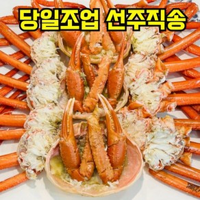 [선주직송] 연지홍게 2kg 5kg 포항 구룡포 다리 수율 80%이상 당일조업 산지직송, 1박스, 2kg(7~8미내외)+라면1봉