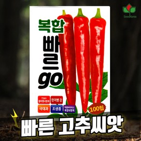 씨드코리아 고추씨앗 복합 빠르고 100립 빠른수확 탄저병 칼라병 바이러스 2024년