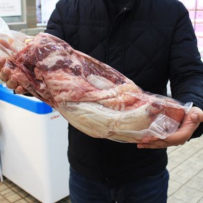 꿀맛컴퍼니 한우 우설(냉동) 1.5kg 내외, 1개