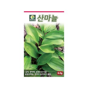 (DN) 산마늘 씨앗(0.5g), 1개