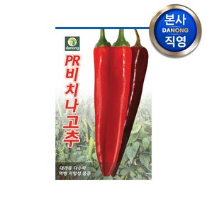 PR비치나 고추 씨앗 50립 . 대과종 다수확 내병계 채소 텃밭 과채류 씨 종자, 1개